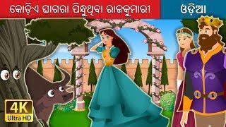 କୋଡ଼ିଏ ଘାଗରା ପିନ୍ଧୁଥିବା ରାଜକୁମାରୀ | Odia Story | @OdiaFairyTales