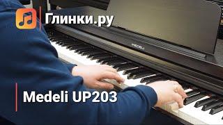 Medeli UP203: корпусное пианино, тщательно отобранное у производителя. | Глинки.ру TESTROOM