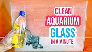  Aquarium Glass Cleaning Made Easy: Say Goodbye to Water Stains 