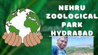 Hyderabad city tour/Nehru Zoological park/tiger,cobra, giraff seen....