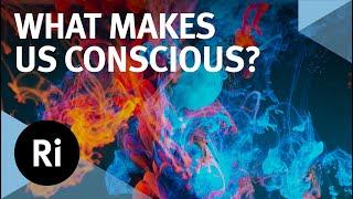 The Source of Consciousness - with Mark Solms