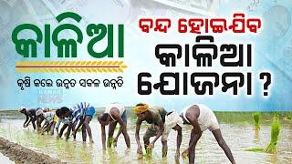 Will KALIA Scheme For Farmers Continue In Odisha?