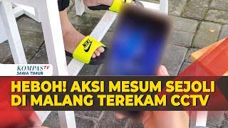 Video Mesum Pasangan di Kafe Malang Buat Heboh Warga