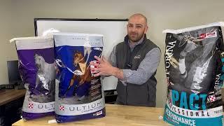 What's the best horse feed for moderate to active work?