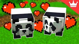 How to Breed Pandas in Minecraft (All Versions)