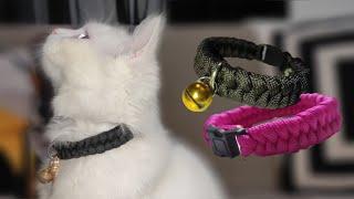 How to make a DIY Cat/ Dog/ Pet Collar | Paracord Fishtail Braid