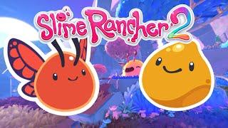 I FOUND A NEW BUTTERFLY SLIME!? ( slime rancher 2 )