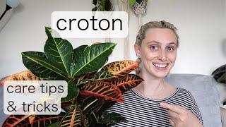 CROTON CARE | Codiaeum Variegatum Care Tips & Tricks