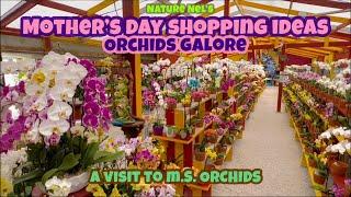 Awesome gift ideas at the local orchid house, M.S. Orchids. Walk with me through rows of orchids.