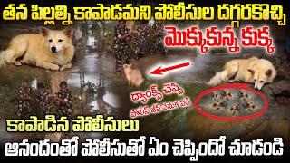 పిల్లలని కాపాడినందుకు ప్రాణమైనా ఇస్తానని చెప్పిన కుక్క | Police Saving Puppies in floods | Mr Venkat