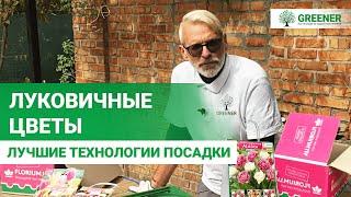 Посадка луковичных цветов осенью. СПОСОБЫ, КОТОРЫЕ ПОДАРЯТ ВАМ ЦВЕТУЩИЙ САД ВСЮ ВЕСНУ!