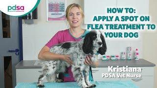 How To Apply A Spot On Flea Treatment To Your Dog: PDSA Petwise Pet Health Hub