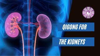 Qigong to Nourish the Kidneys