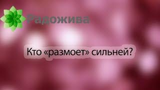 Какой объектив сильней всего размывает дальний и передний план (фон) - очень простой способ выяснить