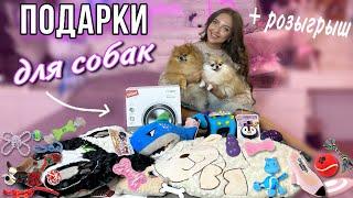 Зоопокупки ДЛЯ СОБАК |  Игрушки, лежанки, миски, гаджеты… Лучшие находки  GiGwi