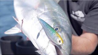 Sinking StickBait // How to fish them