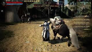 WTF Moment Black Desert Online