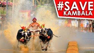 Save Kambala l short movie trailer 2017