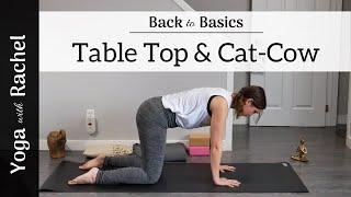 How to do Table Top Position & Cat-Cow - Yoga with Rachel