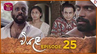 Viyali | වියළි | Episode 25 - (2024-08-10) | Rupavahini TeleDrama