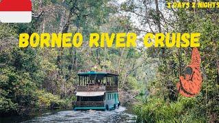 3 day Borneo River Cruise in Tanjung Puting National Park | Orangutan Adventure [4K]