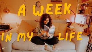 Mundanity and slowing down  cosy reading vlog