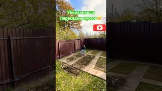 Уборка после пересадки кустов #дача #сад #уборкаучастка #покостравы #garden #satisfying #gardening