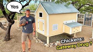 Chickens: The Gateway Drug To Self Reliant Living