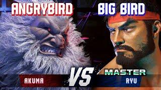 SF6 ▰ ANGRYBIRD (Akuma) vs BIG BIRD (Ryu) ▰ High Level Gameplay