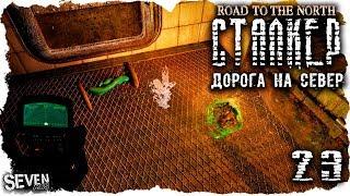 S.T.A.L.K.E.R. Дорога на север #23 ЗАРАБОТАЛ 250к за ЧАС!