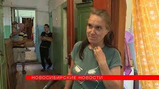 «Уже кусают за ноги»: небывалое нашествие крыс заметили в Новосибирске