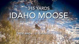 315 Yard • Idaho Moose • 7 Rem Mag • 131 Hammer Hunter