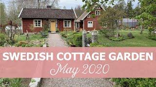 Ninnie's Swedish Cottage Garden - May 2020