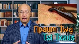 "Npaum Twg Tsi Txaus" - Kx. Nyaj Looj Yaaj