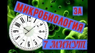 Microbiology in 7 minutes