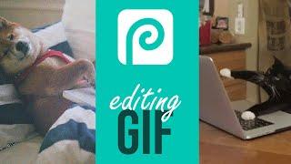 How do you edit an existing GIF in Photopea / Photoshop?