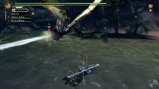 Monster Hunter 3 Ultimate - Skid VS G-Rank Plesioth