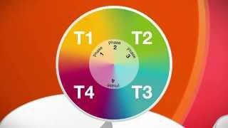 Understanding the Spectrum of Translational Research