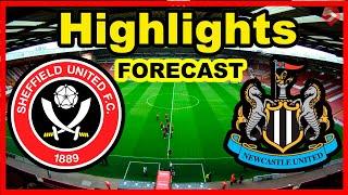 Sheffield United vs Newcastle United Highlights value