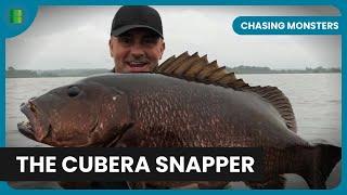 Searching for the Cubera Snapper - Chasing Monsters - Nature & Adventure Documentary