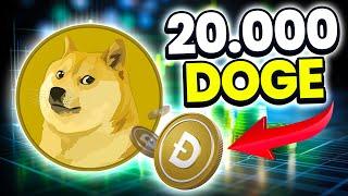Why 20,000 DOGE Tokens Can Transform Your Financial Future