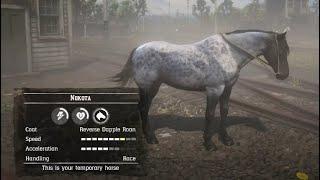 RDR 2 How to get the (Nakota)  Reverse Dapple Roan easy method