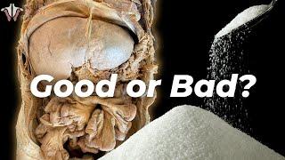 What Sugar ACTUALLY Does to the Body