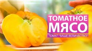 МЯСИСТЫЙ. КРУПНЫЙ. ОЧЕНЬ ВКУСНЫЙ. ТОМАТ ВАШЕ ВЕЛИЧЕСТВО (обзор сортов)