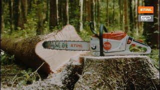 STIHL MSA 300 Battery Chainsaw