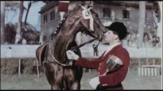 Reiten für Deutschland - Doku Film DVD Video Wiki Sport Springreiten Hans Günter Winkler Biografie