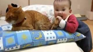 Bebe care rade (Um gato muito paciente)_Bebenou.ro