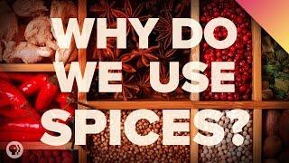 The Surprising Reason We Eat Spicy Food