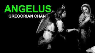 Angelus (Gregorian Chant)