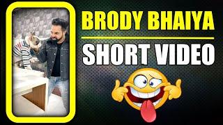 Bhago Bunny ka Bhaiya Brody aa Gya  Funny Dog Short Video | Harpreet SDC